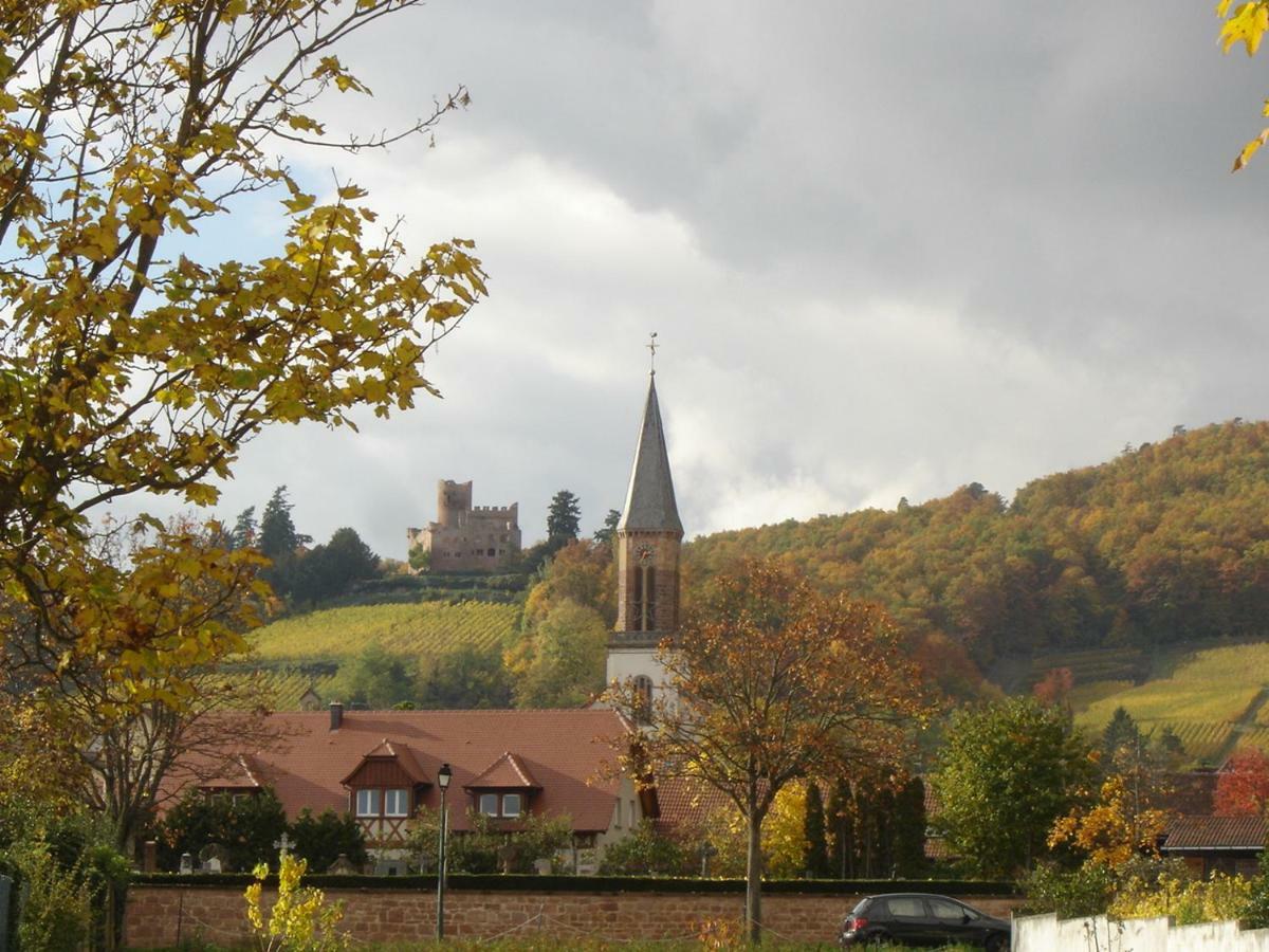 Au Coeur D'Alsace Chambres D'Hotes Kintzheim Exteriör bild